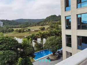 佛山中信山语湖别墅泳池